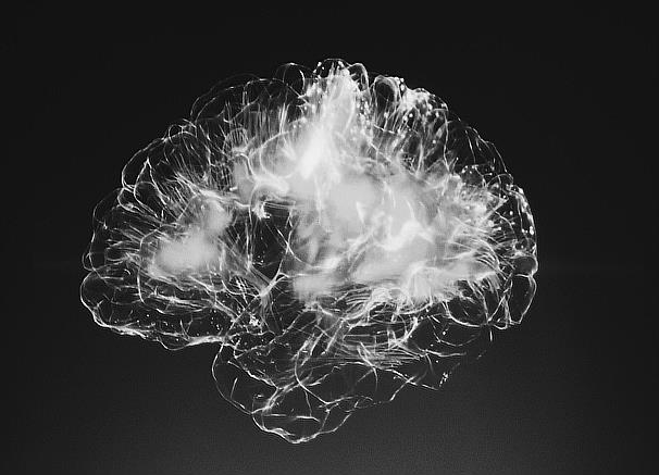 Latest Blog Post: From Ideas to Impact - The Leadership Brain Scan