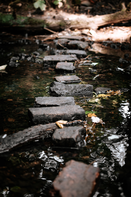 Stepping stones to Thought Leadership Position