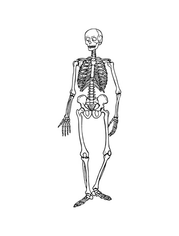 Skeleton of the Back-Story